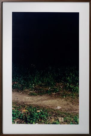 LUPO TEODORO (n. 1975) - PAUL .