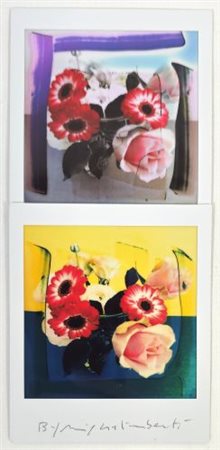 Maurizio Galimberti “BiFlowers”