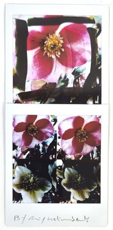 Maurizio Galimberti “BiFlowers”