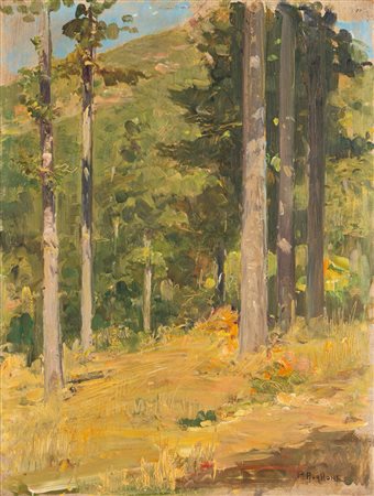 Pasquale Avallone (Salerno 1884 - 1965)  - Paesaggio boschivo