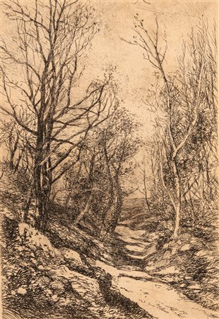 Filiberto Petiti (Torino 1845 - Roma 1924)  - Sentiero nel bosco
