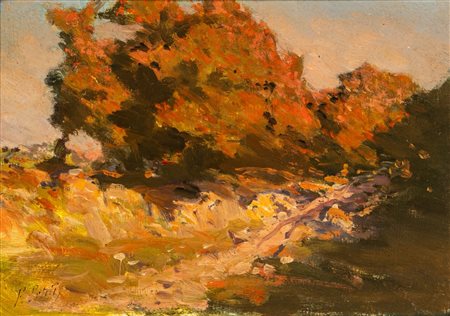 Filiberto Petiti (Torino 1845 - Roma 1924)  - Sole d'autunno