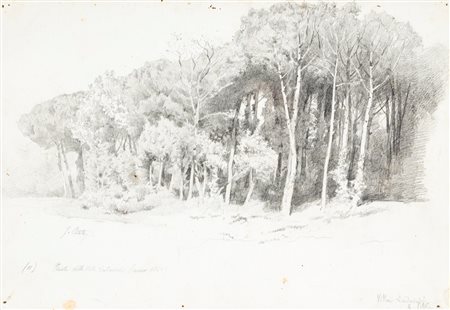 Filiberto Petiti (Torino 1845 - Roma 1924)  - Pineta della Villa Ludovisi, 1880