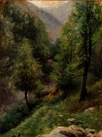 Filiberto Petiti (Torino 1845 - Roma 1924)  - Bosco di montagna