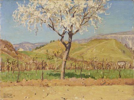 Teodoro Wolf Ferrari "L'amolaro in fiore" San Zenone degli Ezzelini, 1927
olio s