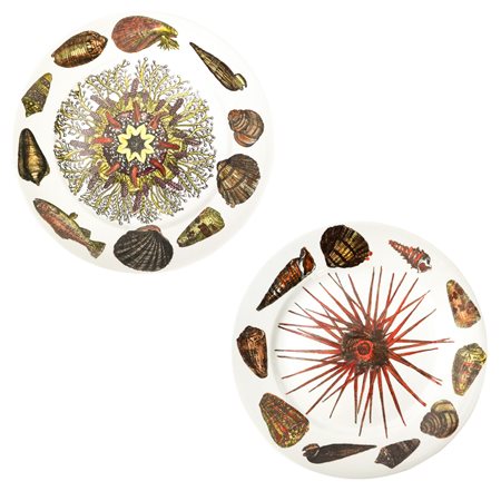 Piero Fornasetti - Coppia di piatti in ceramica Fornasetti, Serie Conchiglie, 20th century