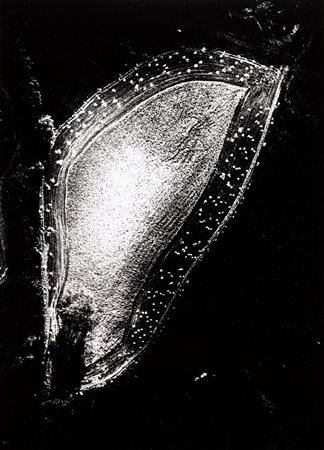 Mario Giacomelli 1925-2000 Senza titolo, dalla serie 'Presa di coscienza...