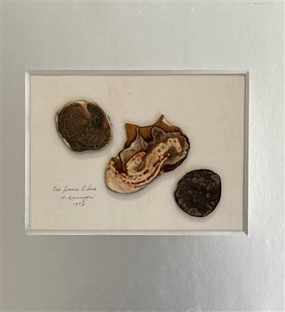 Andrea Raccagni (Imola, 1921 - Imola, 2005) 
"Tre forme libere" 1958
Tecnica mista e collage su cartoncino Cm 25x35