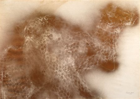 Elisabeth Mercier (1957 - ) 
Senza titolo 1988
Pittura spray su carta 75x109 cm