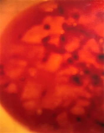 Ashton Harris Lyle (1965 - ) 
Red Melon 1996
Fotografia C Print 113x83 cm