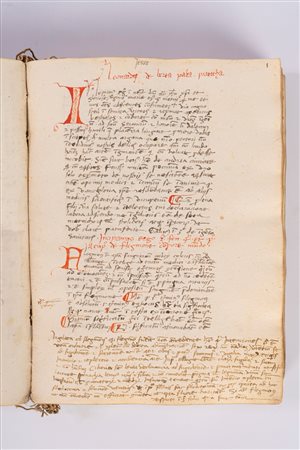 Leonardo Bertapaglia - Leonardus de Berta Palia praticha [Chirurgia], 1500