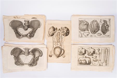 Raccolta di tavole anatomiche, 1690