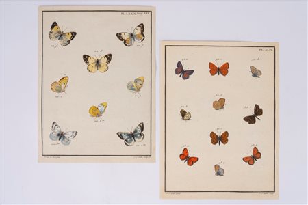 Papillons d’Europe, peints d’après nature, 1779
