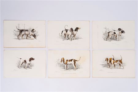 Charles Oliver  De Penne (1831 - 1897)  - Razze di cani da caccia, 1800