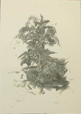 ATTILIO FORGIOLI, "Pianta"