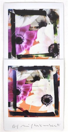 MAURIZIO GALIMBERTI, "BiFlowers"