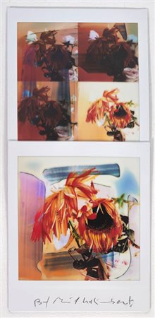 MAURIZIO GALIMBERTI, "BiFlowers"