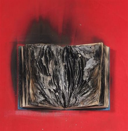 Bernard Aubertin “Livre Brulè” 2009