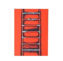 Edizioni d'Artista, Grafiche, Cataloghi e Dipinti