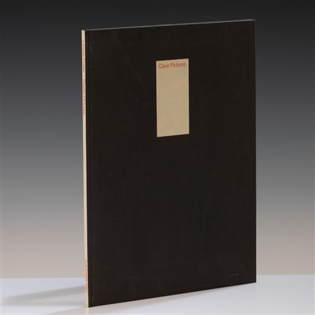 Jonathan Lasker - Everett Potter, Cave Pictures Libro d'artista realizzato in...