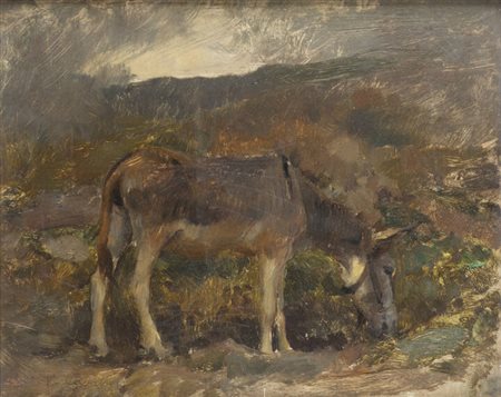 VITTORIO CAVALLERI<BR>Torino 1860 - 1938<BR>"(Frassineto) Asino sull'altopiano" 1906