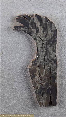 MICHELA PRON PACHNER<BR>Genova 1926-2015<BR>"Immagine-alluminio" 1967