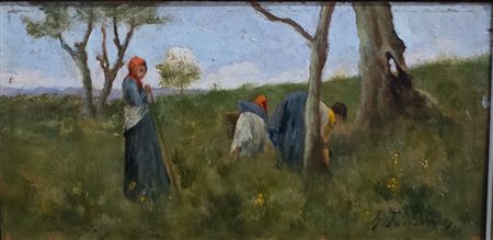 La raccolta