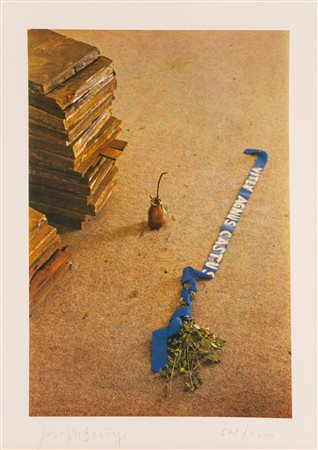 Joseph Beuys (Krefeld 1921 - Düsseldorf 1986)  - Vitex agnus castus