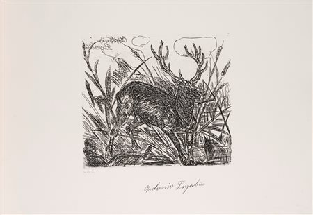 Antonio Ligabue (Zurigo 1899 - Gualtieri 1965)  - Cervo