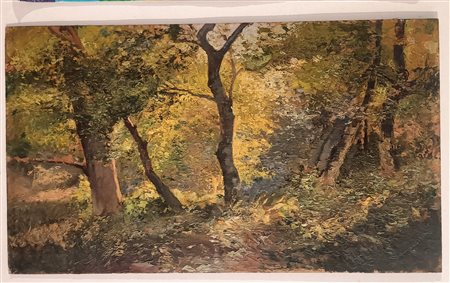 ANONIMO Anonimo (An) Bosco Olio su faesite 22,00x38,00