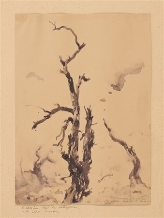 MACEO CASADEI, Gli alberi morti