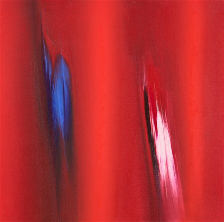 ENNIO FINZI, Il verso del colore