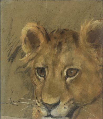 Marino Lenci (1874 - 1939) 
Cucciolo di leone 
pastelli su carta 25,5 x 23 cm
