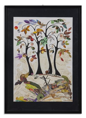 ANTALYA BEATRICE (n. 1989) - AL LIMITE DEL BOSCO.