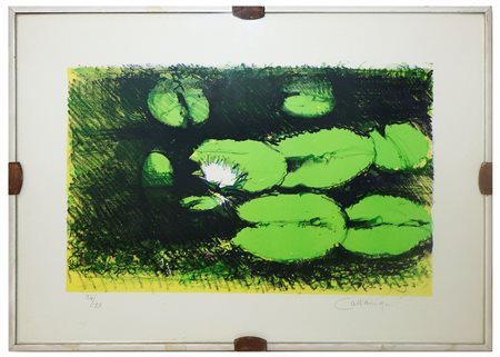 Giancarlo Cazzaniga (Monza  1930 - 2013)  - Ninfee