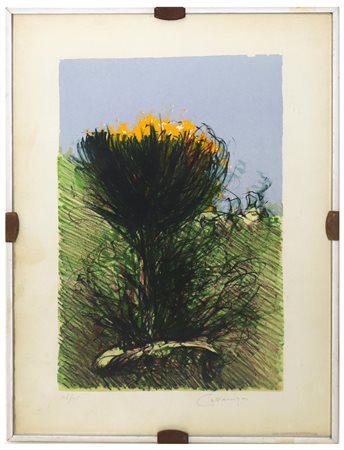 Giancarlo Cazzaniga (Monza  1930 - 2013)  - Ginestre