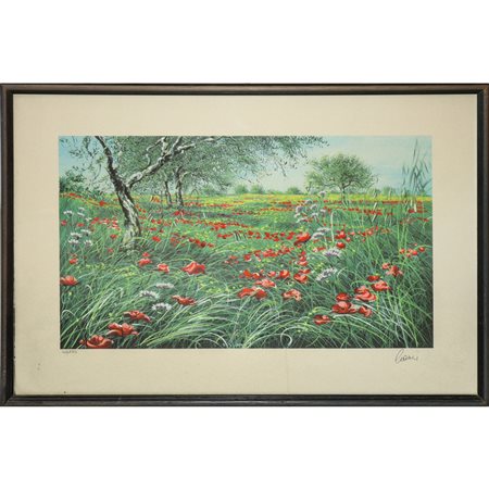 Amedeo Cianci - Campo di papaveri