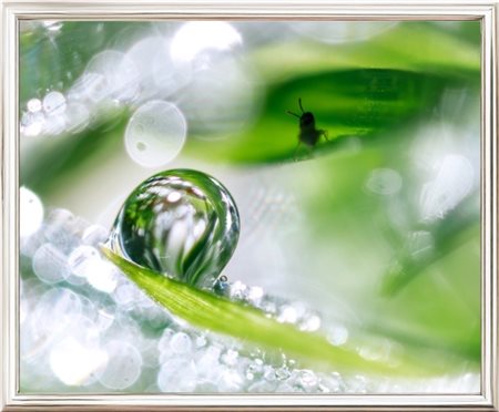 Inna Etuvgi, "Morning Dew Tales", 2024, Gicleè print on Canson Fine Art...