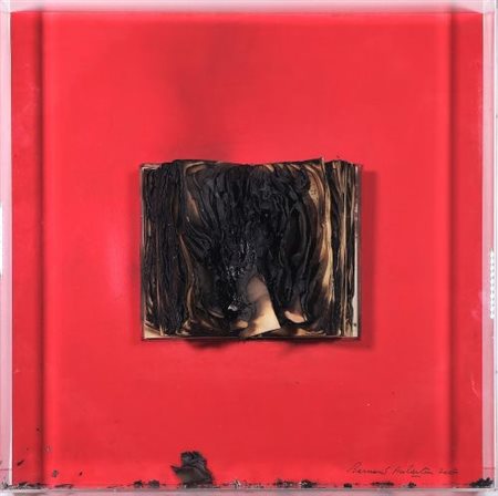 Bernard Aubertin “Livre Brule” 2007