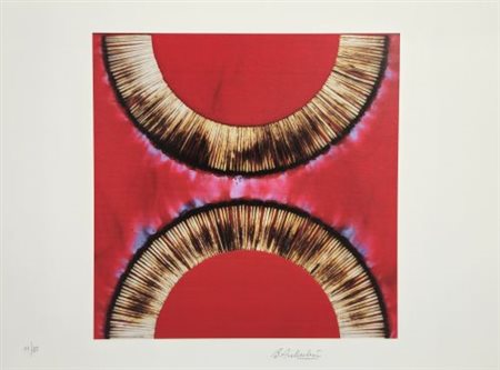 Bernard Aubertin “Senza titolo”