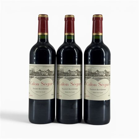 Saint-Estèphe Château Calon Ségur 2006 3 Bot  