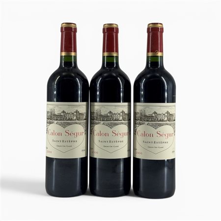 Saint-Estèphe Château Calon Ségur 2006 3 Bot  