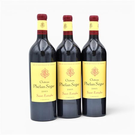Saint-Estèphe Château Phélan Ségur 2005 3 Bot  