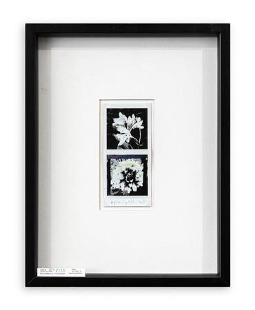 MAURIZIO GALIMBERTI (1956) - BiFlowers