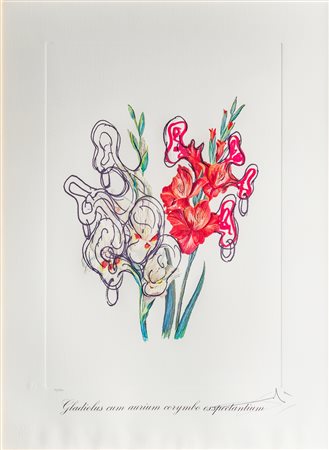 Salvador Dalí (1904 - 1989)
Gladiolus cum aurium corymbo exspectantium, 1972
