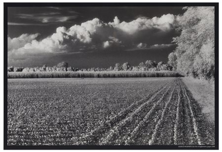 Elio Ciol (1929)
Sogni di prosperità, San Vito al Tagliamento, 2005