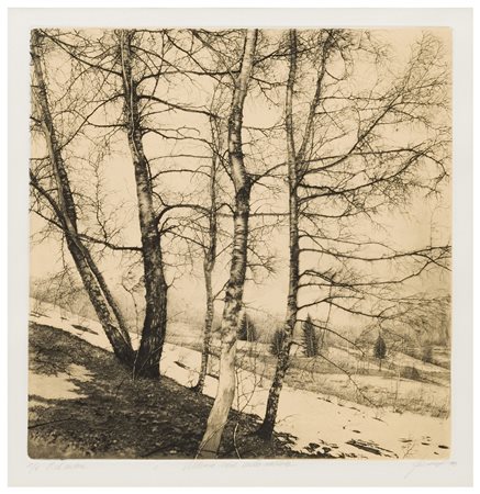 Livio Ceschin (1962)
Neve nella vallata, 1998