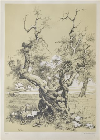 Angelo Marinucci (1909 - 1994)
Ulivo ad Ostuni, 1962