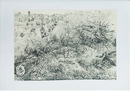 Roberto Stelluti (1951)
Fabriano. La Portella