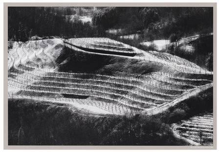 Elio Ciol (1929), da
Viti come disegni, Ramandolo, 2003